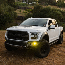 Squadron 2.0 Sport/S2 Sport Fog Pocket Light Kit - Ford 2017-20 F-150 Raptor