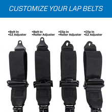 5.3 Harness