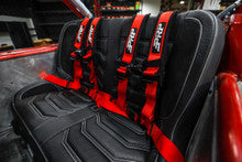 4.2 Harness