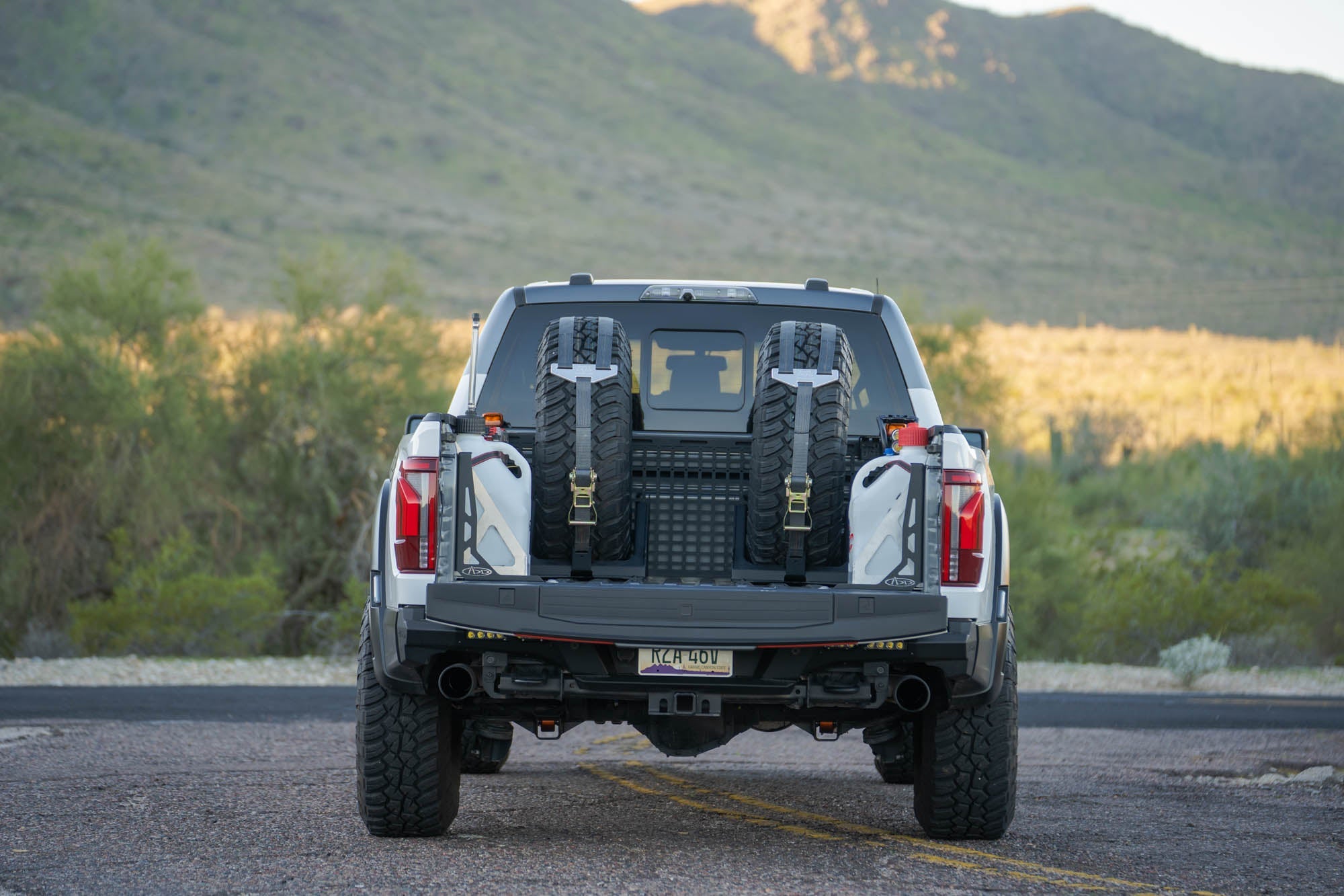 Universal Tire Carrier