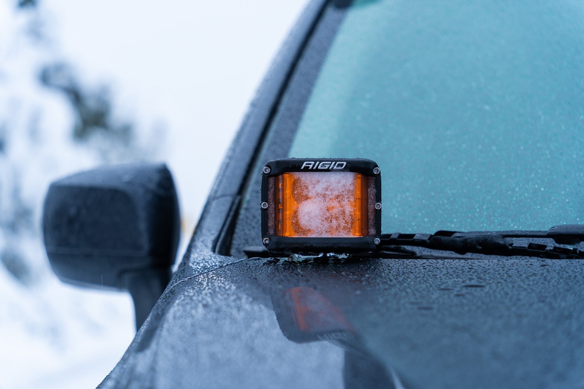 RIGID D-SS Spot with Amber PRO Lens | Pair