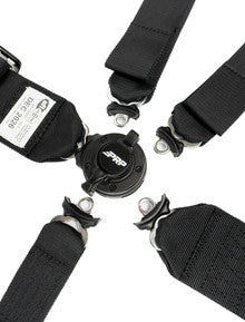 5.3x2 Cam-Lock Harness